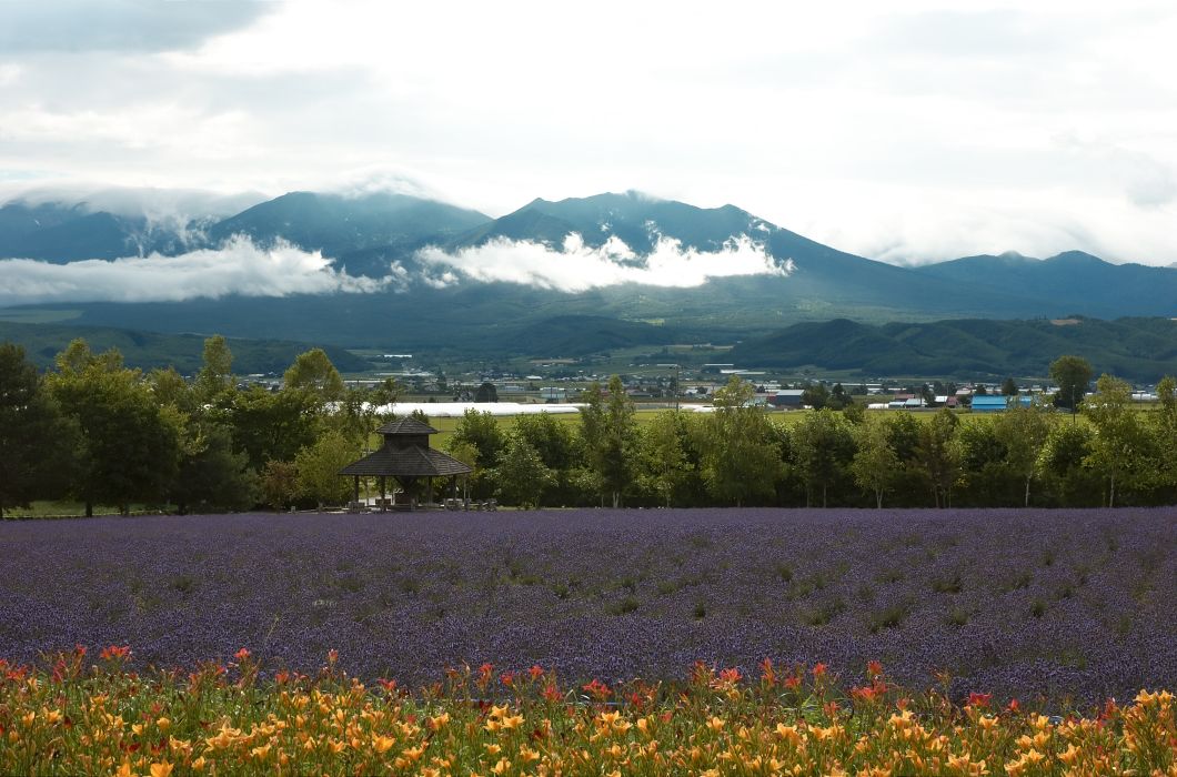 Furano