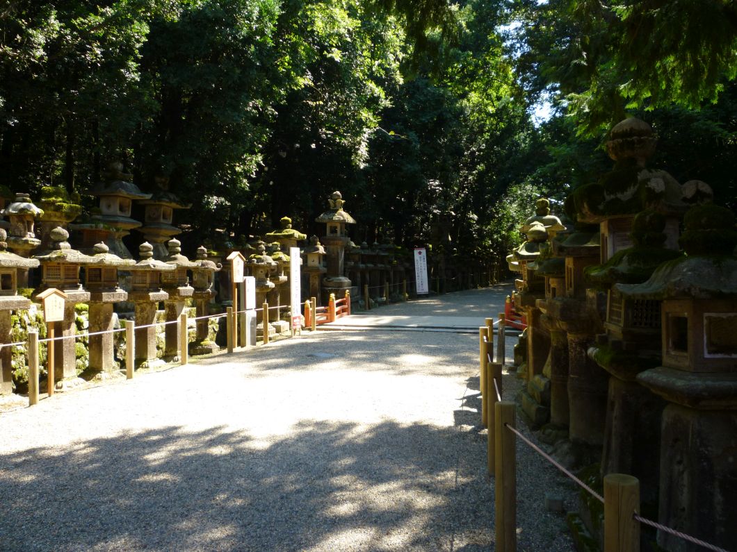 kasuga taisha